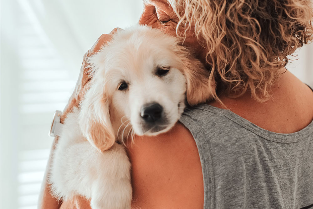 Pet owner comforting their animal with gentle reassurance during a veterinary visit