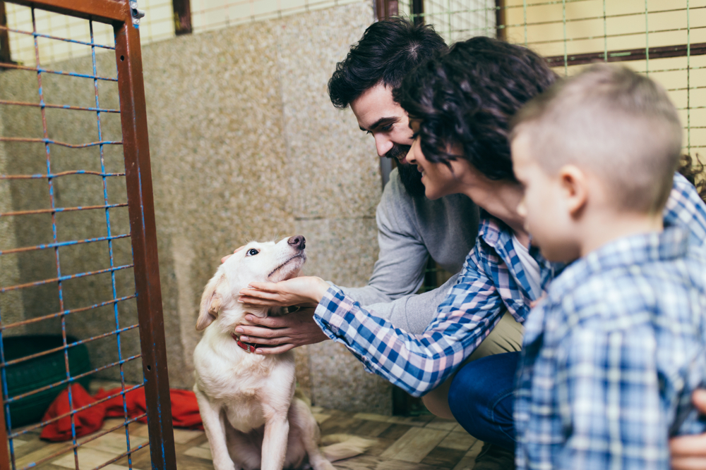 Happy family choosing a dog for adoption at an animal shelter — pet adoption in Saylorsburg PA