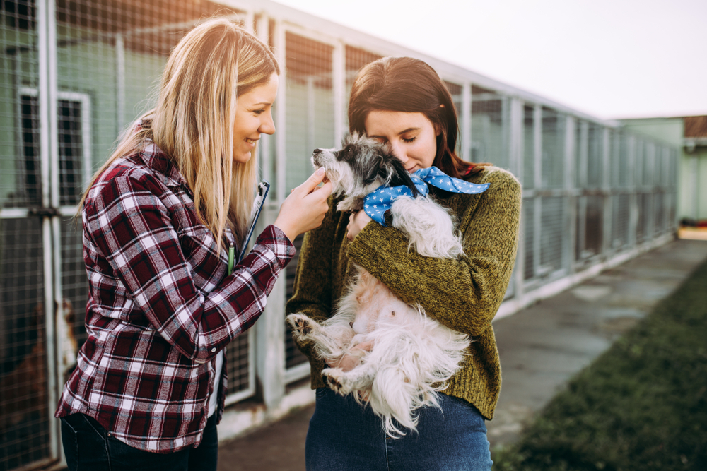 Young woman with shelter worker choosing a dog to adopt from a rescue facility