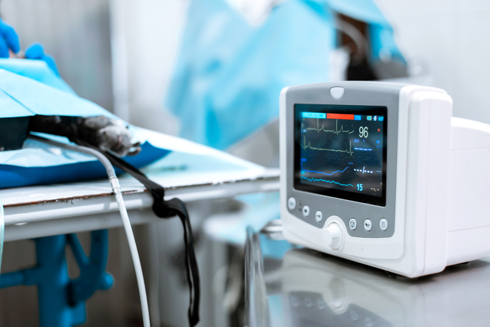 Veterinary vital signs heart rate monitor displaying patient data in a hospital theater