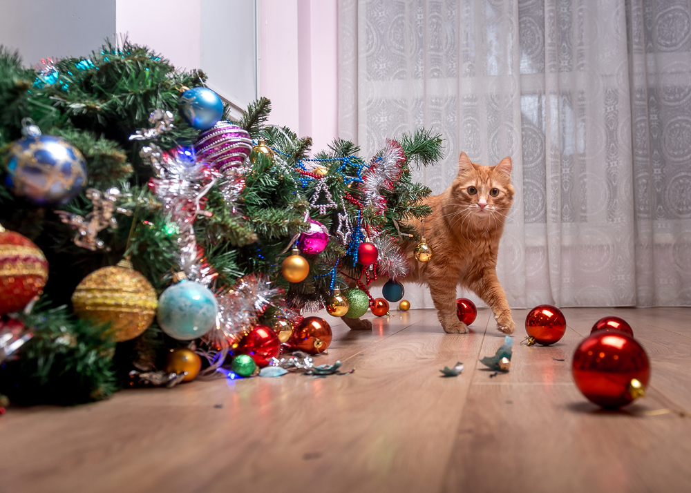 Cat sitting beside a knocked-over Christmas tree — holiday pet safety hazards