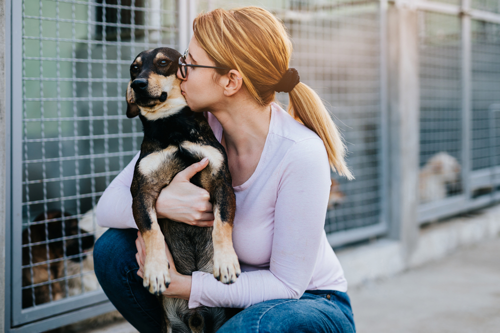Young woman holding an adorable dog at an animal shelter — pet adoption and veterinary care
