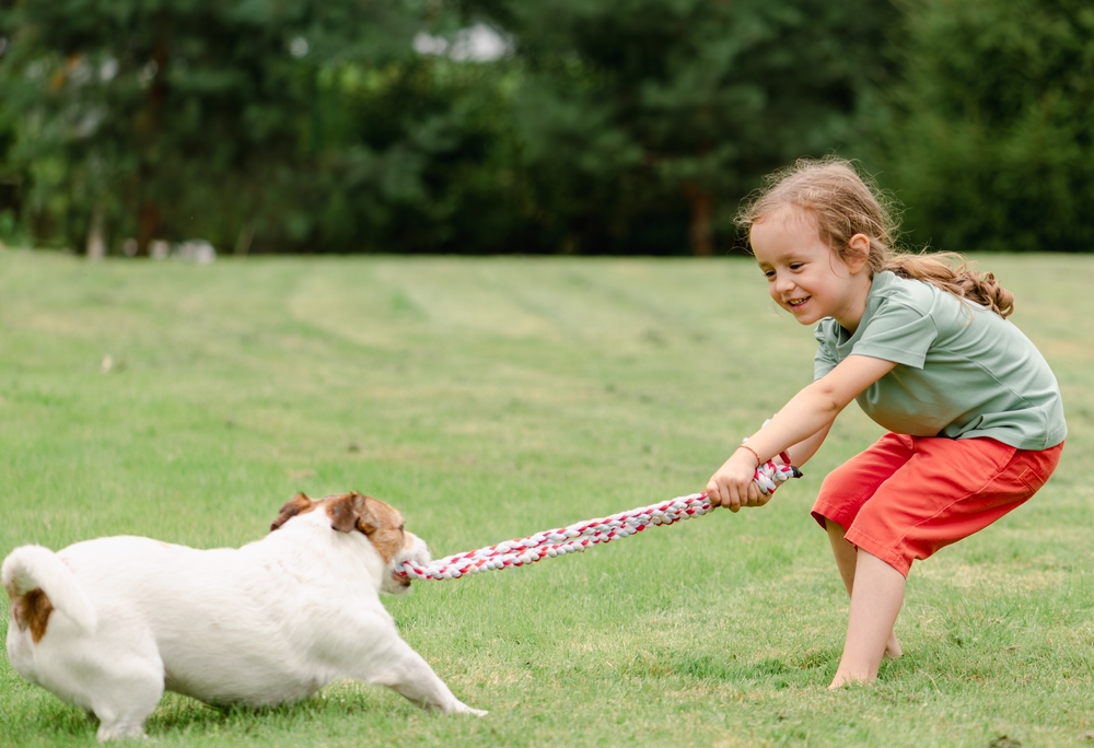 Child and dog playing tug-of-war with a rope toy in a backyard, pet exercise and bonding