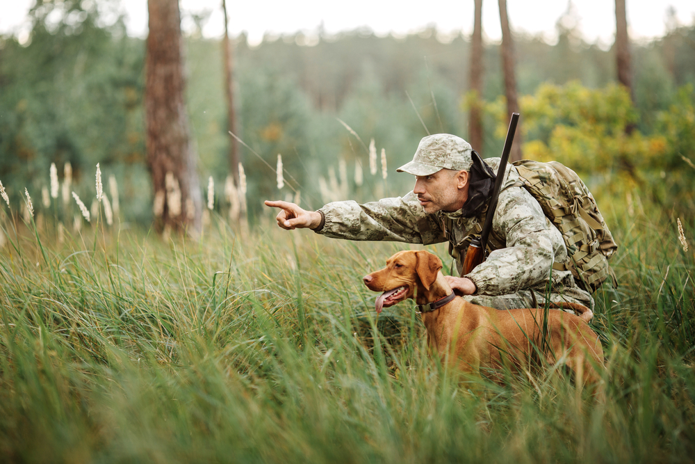 Hunter with rifle and dog walking through forest in Pennsylvania — pet hunting companion care