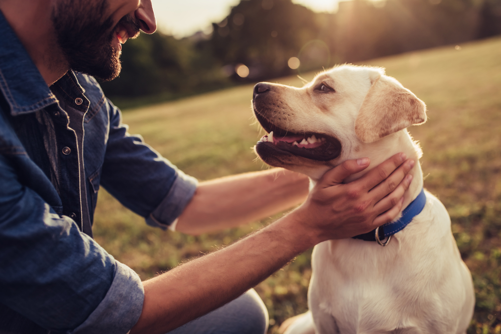 Young man bonding with his Labrador Retriever outdoors in natural light