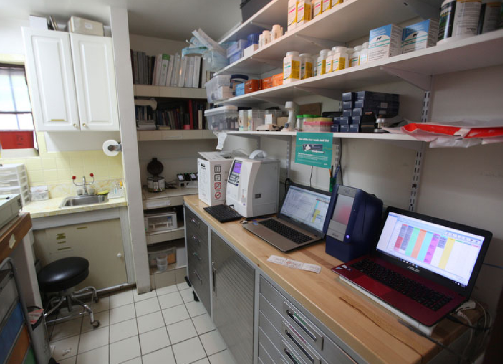 Left-side view of veterinary clinic interior at Creature Comforts in Saylorsburg PA

