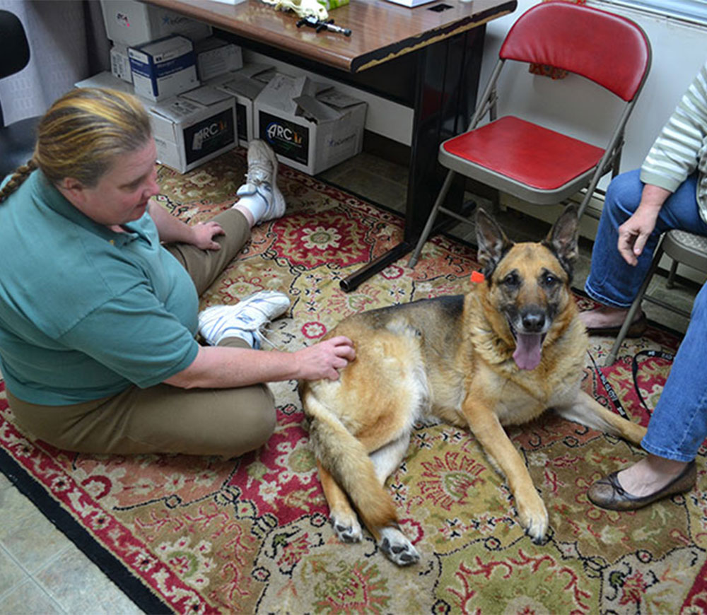 Creature Comforts Veterinary Service team expressing their passion for compassionate pet care
