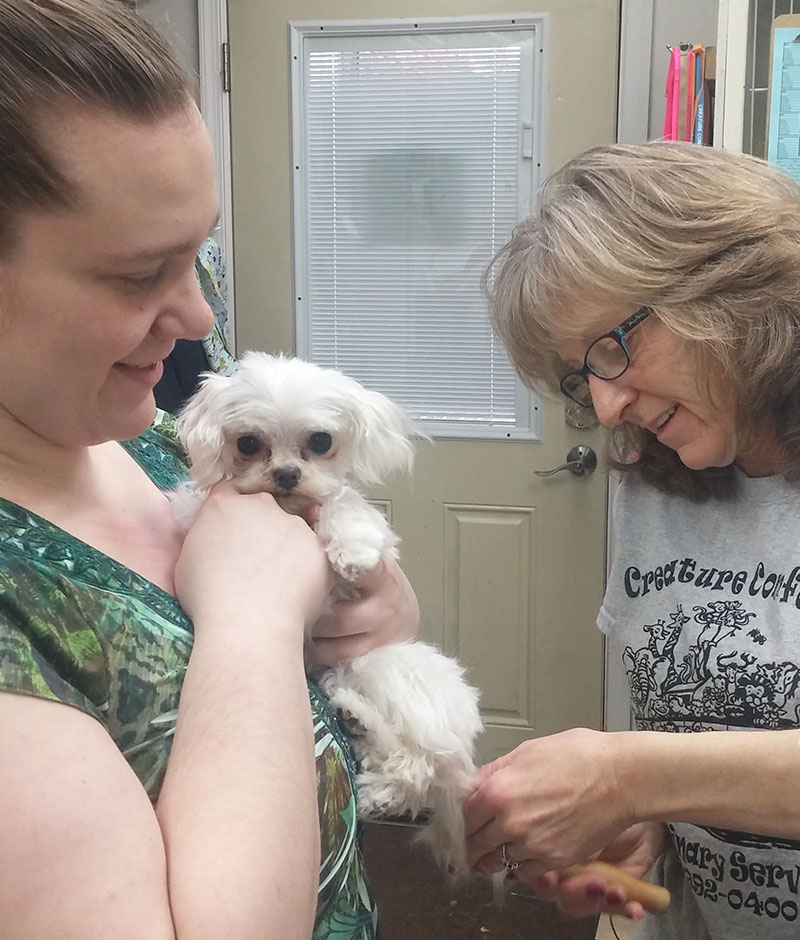 Veterinarian conducting a wellness checkup on a pet at Creature Comforts Veterinary Service
