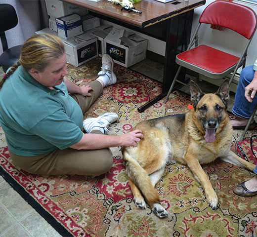 Emergency veterinary care area at Creature Comforts Veterinary Service in Saylorsburg, PA
