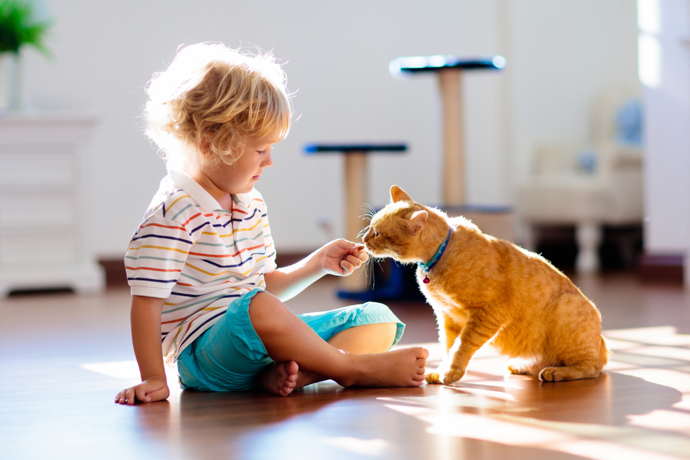 Child playing with cat at home, promoting safe and happy kids and pets relationships
