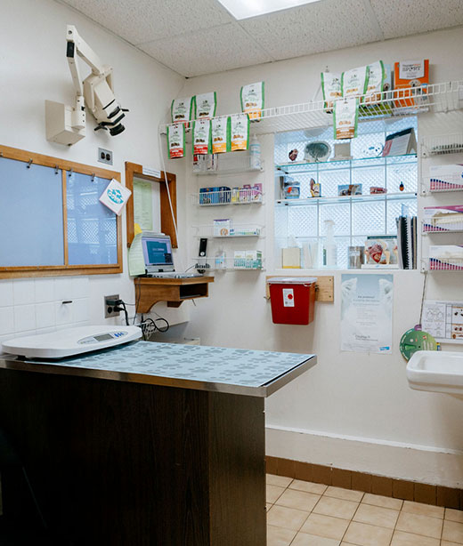 Well-equipped veterinary care room inside Creature Comforts Veterinary Service, Saylorsburg, PA
