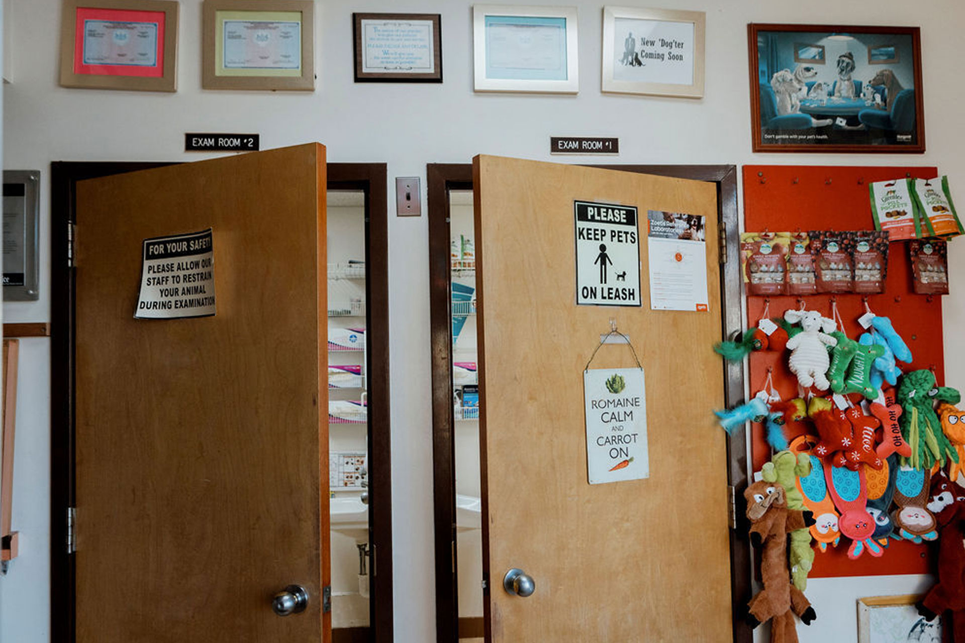 Creature Comforts Veterinary Service gallery photo featuring pets and veterinary care in Saylorsburg PA
