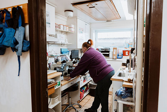 Interior view of a veterinary clinic room at Creature Comforts Veterinary Service in Saylorsburg, PA
