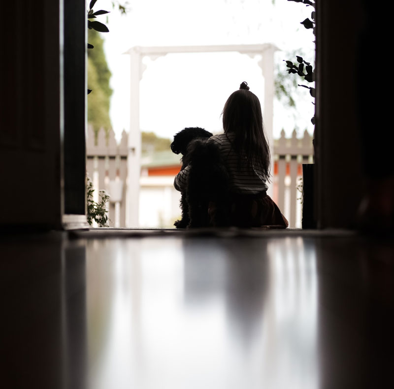 Compassionate end-of-life pet care provided at Creature Comforts Veterinary Service in Saylorsburg, PA

